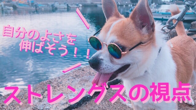 f:id:sachicoco-1107:20180705205630j:plain f:id:sachicoco-1107:20180705205630j:plain