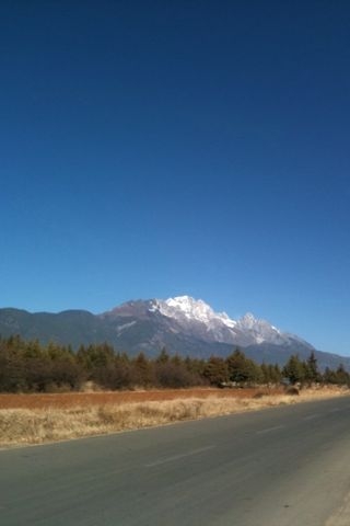 f:id:sachiguronn:20110106152918j:image