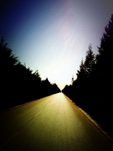 f:id:sachiguronn:20110106153318j:image