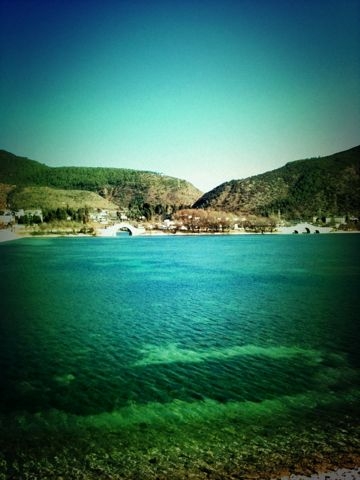 f:id:sachiguronn:20110106153620j:image