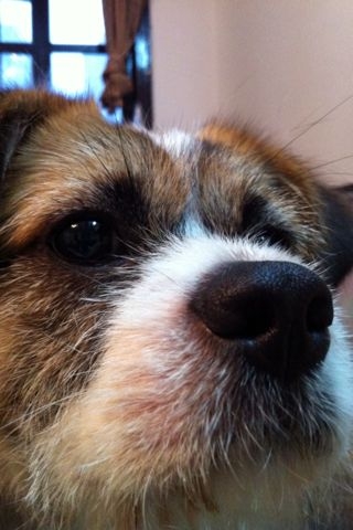 f:id:sachiguronn:20110529144323j:image