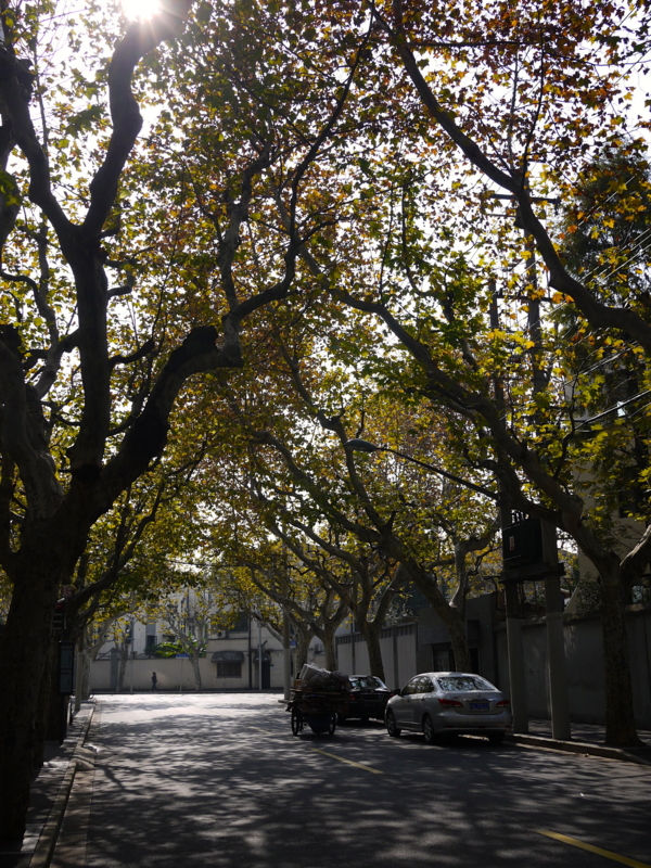 f:id:sachiguronn:20121124120453j:image:w640