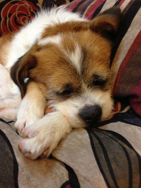 f:id:sachiguronn:20130324110944j:image