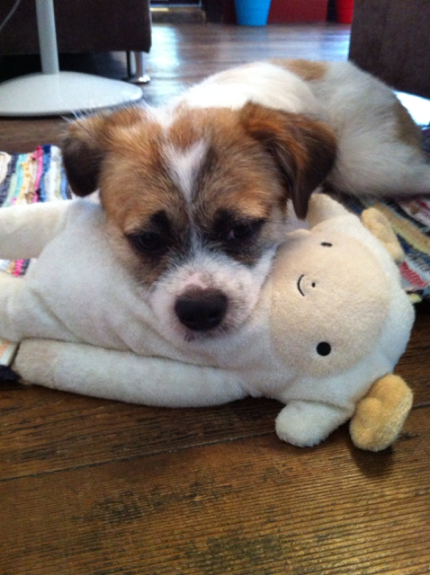 f:id:sachiguronn:20140825104235j:image:h500