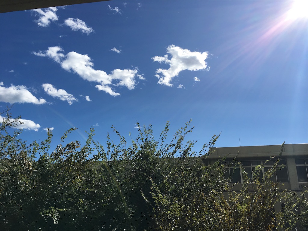 f:id:sachiguronn:20171023152308j:image