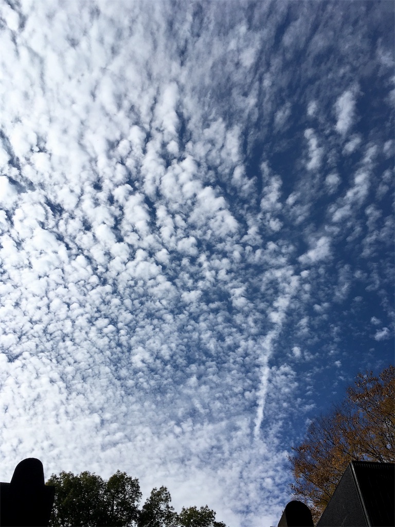 f:id:sachiguronn:20171126214251j:image