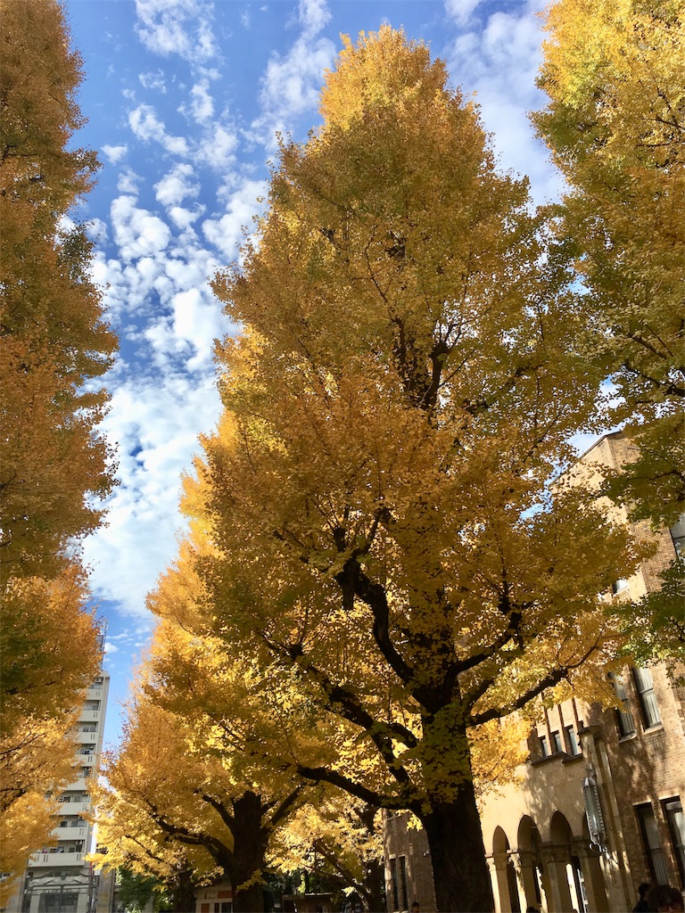 f:id:sachiguronn:20171126214317j:image