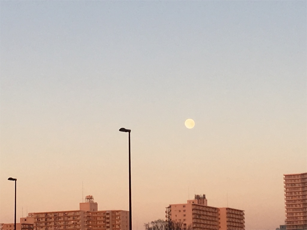 f:id:sachiguronn:20190120220620j:image