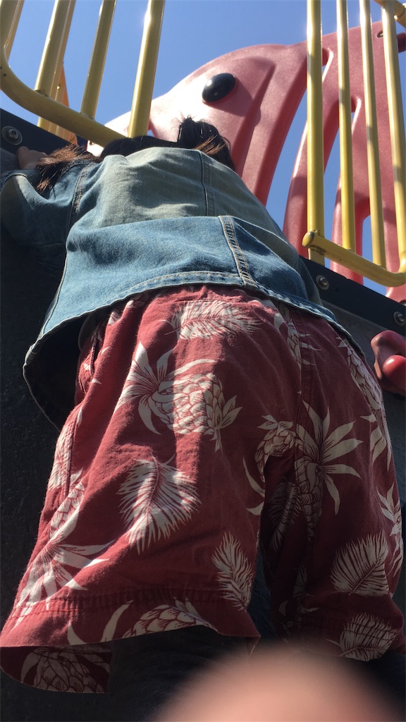 f:id:sachiguronn:20190321212040j:image