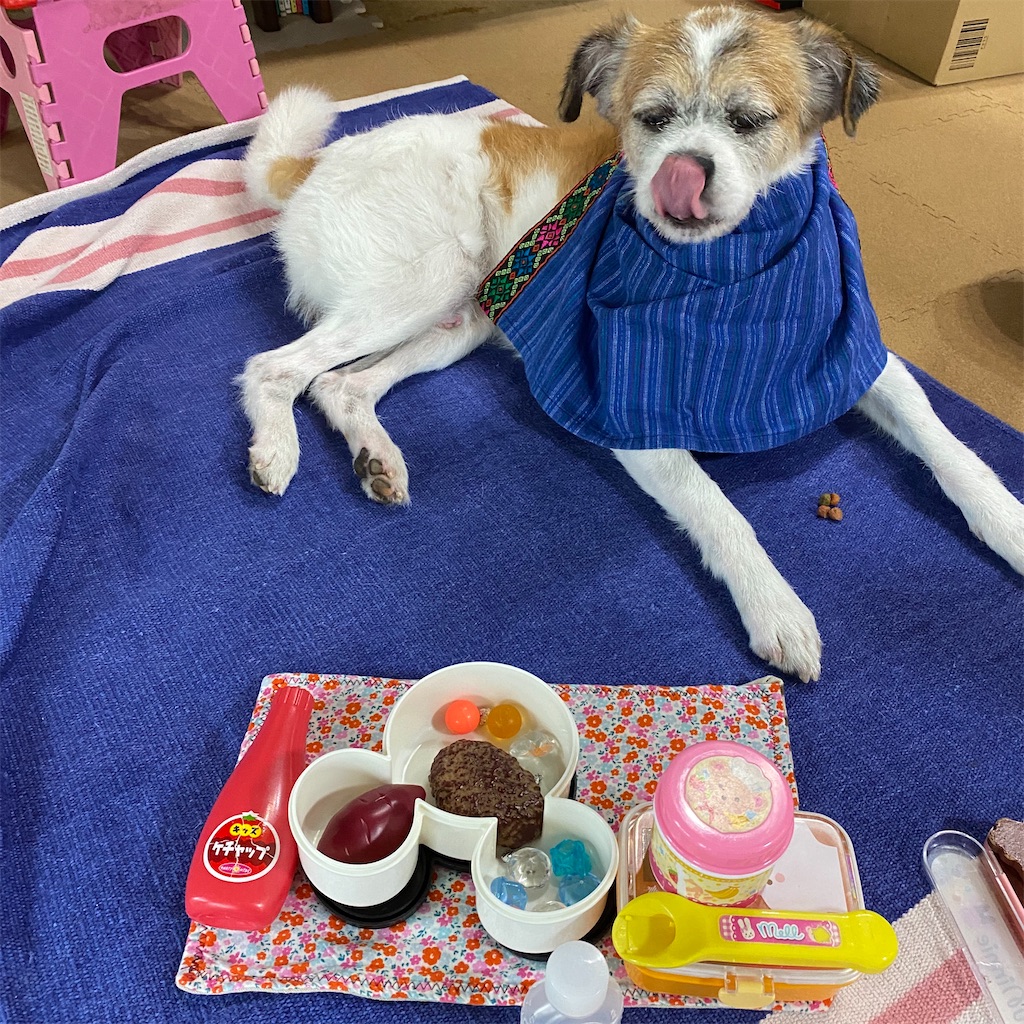 f:id:sachiguronn:20200908212102j:image