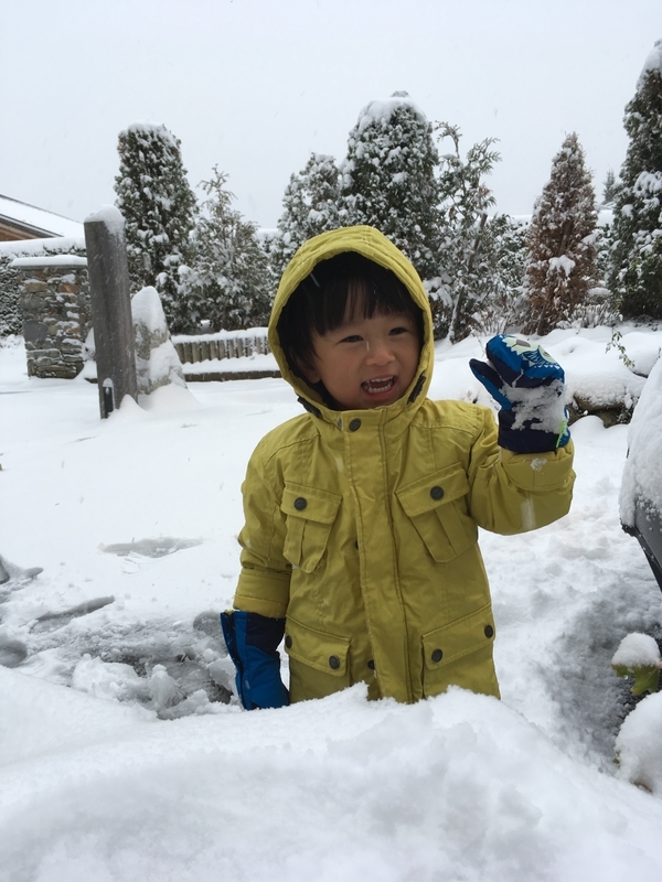 f:id:sachimegeve:20181030083658j:image