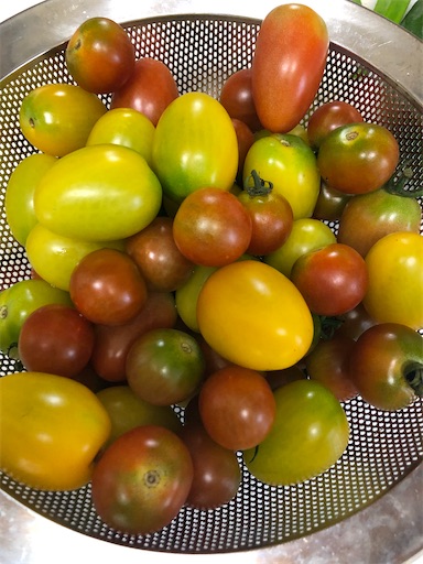 f:id:sachiox:20200724092759j:plain