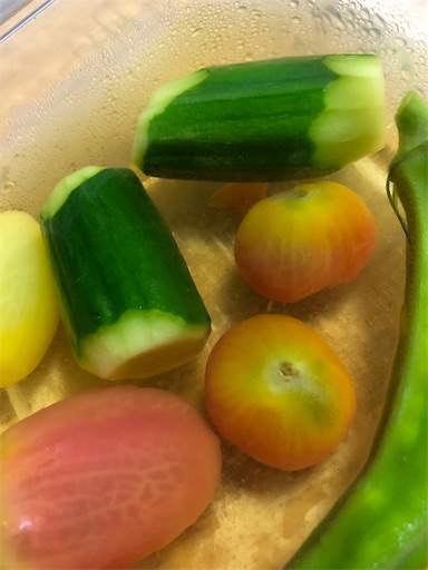 f:id:sachiox:20200724101102j:plain