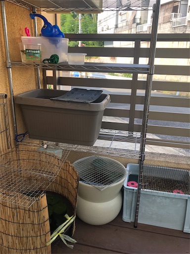 f:id:sachiox:20200822153059j:plain