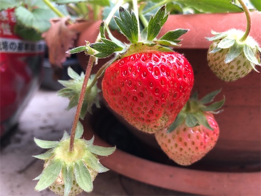 f:id:sachiox:20200822153318j:plain