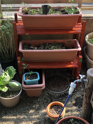 f:id:sachiox:20200822153747j:plain