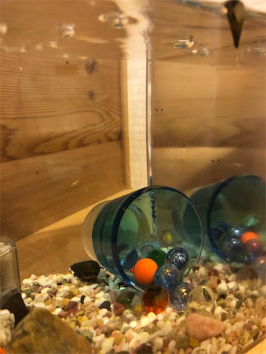 f:id:sachiox:20200902203439j:plain