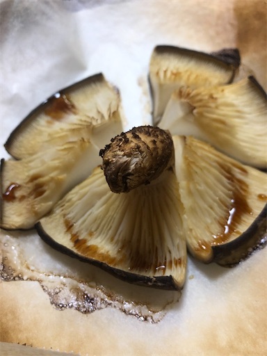 f:id:sachiox:20201129201203j:plain