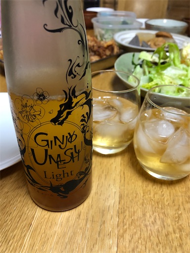 f:id:sachiox:20210104230232j:plain