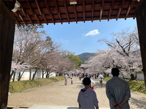 f:id:sachiox:20210326231033j:plain