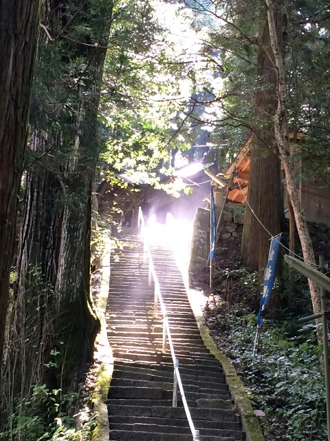 f:id:sachipop:20160924141147j:image