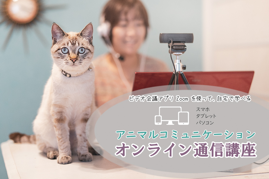アニマルコミュニケーション通信講座