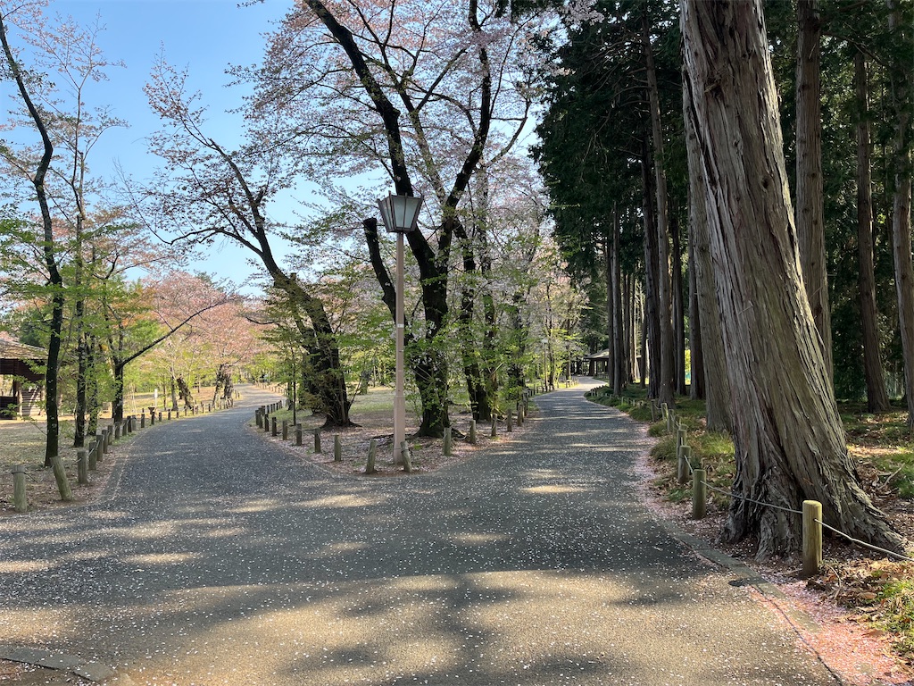 f:id:sachiyoga:20220412190713j:image