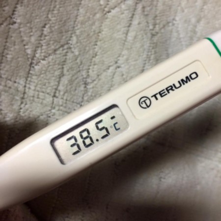 f:id:sachlich-kaiko:20151220155449j:image f:id:sachlich-kaiko:20151220155449j:image