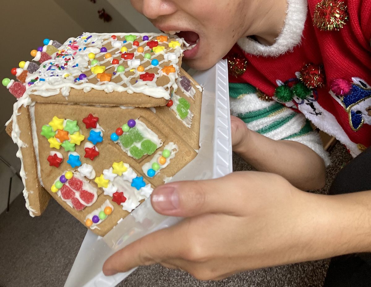 AnnArborでGingerbread Houseを竣工、のちに解体 - 海外旅行も行った