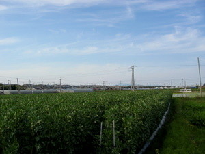 20070405163117