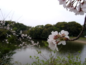 20070408113704