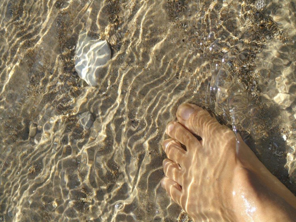 f:id:sacredaroma:20190113204506j:plain f:id:sacredaroma:20190113204506j:plain