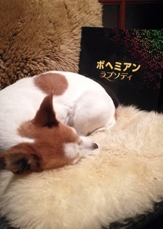 f:id:sacredaroma:20190113204629j:plain f:id:sacredaroma:20190113204629j:plain