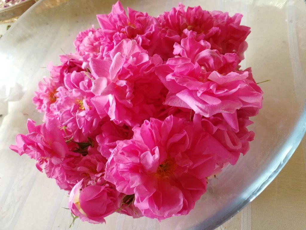 f:id:sacredaroma:20200604094945j:plain f:id:sacredaroma:20200604094945j:plain