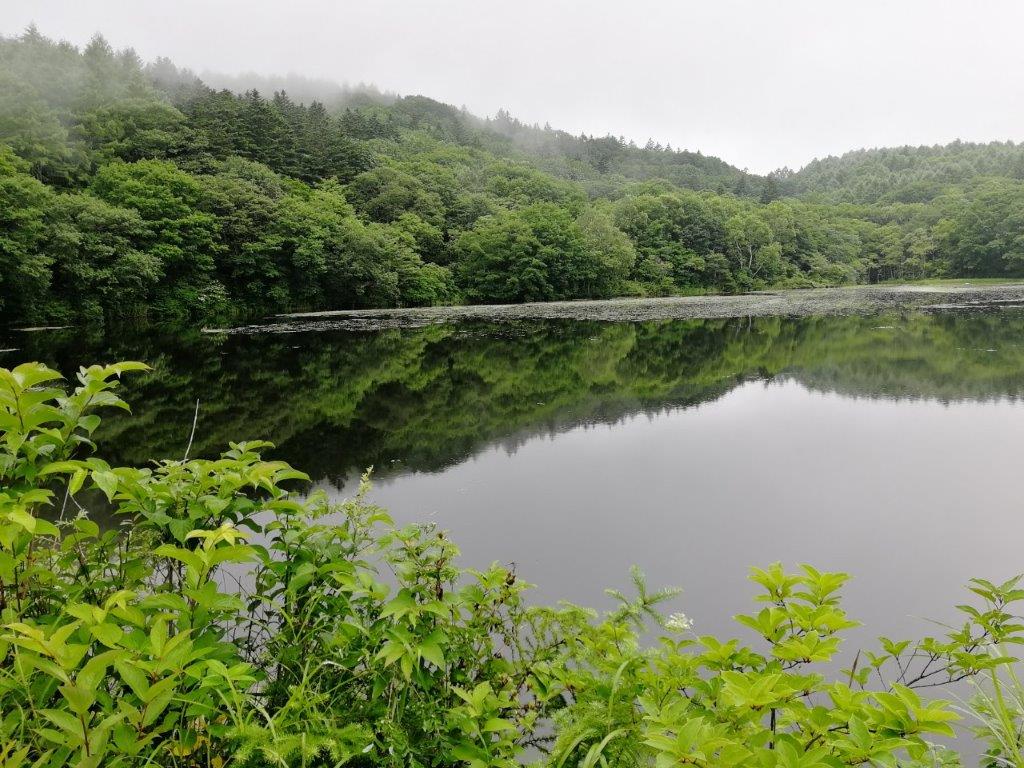 f:id:sacredaroma:20200824235936j:plain