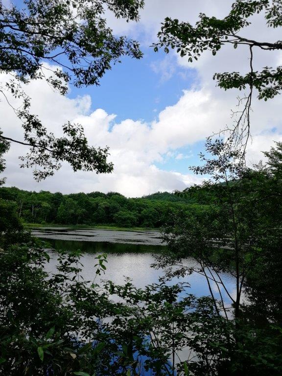 f:id:sacredaroma:20200825005741j:plain