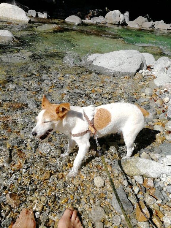 f:id:sacredaroma:20200914173544j:plain