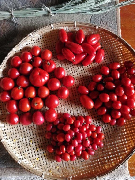 f:id:sacredaroma:20200922232043j:plain