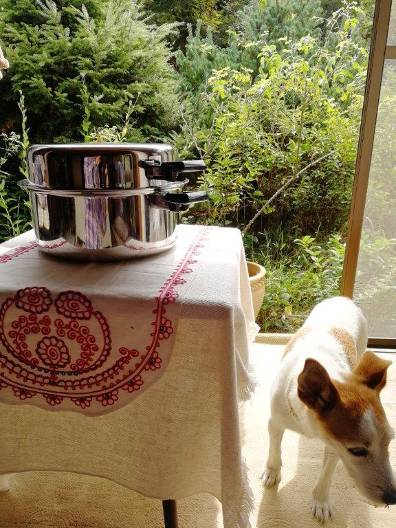 f:id:sacredaroma:20200923114133j:plain