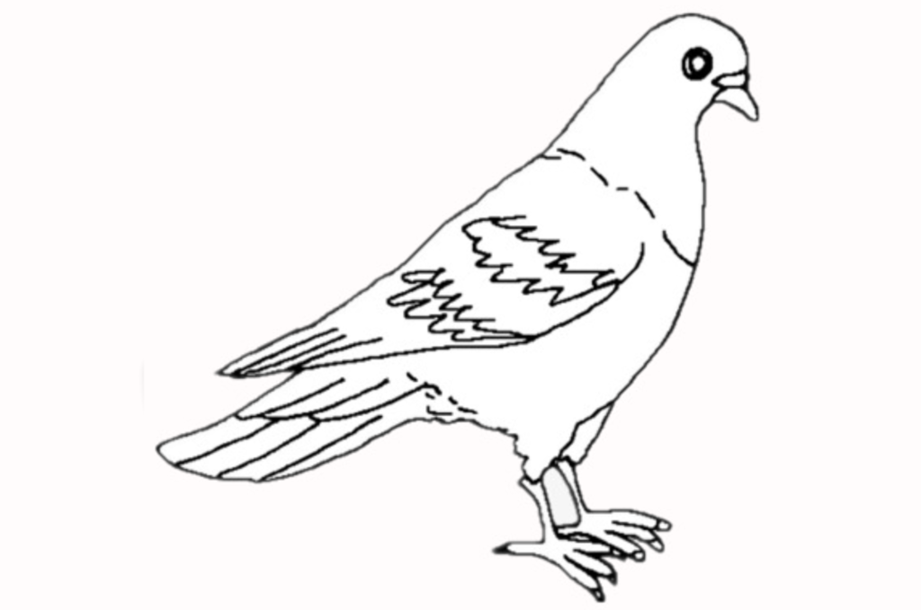 f:id:sacses:20181219132932p:plain