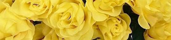 f:id:sadahamu:20180926205447j:image
