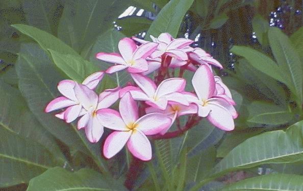 f:id:sadahamu:20220620123028j:image