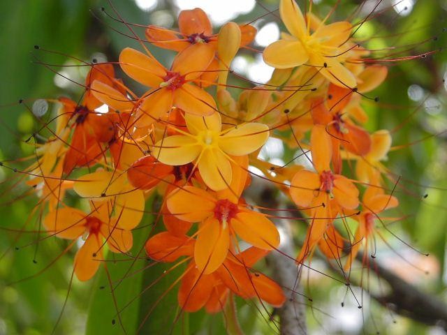 f:id:sadahamu:20220620123040j:image