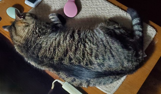 f:id:sadahamu:20230830092842j:image f:id:sadahamu:20230830092842j:image