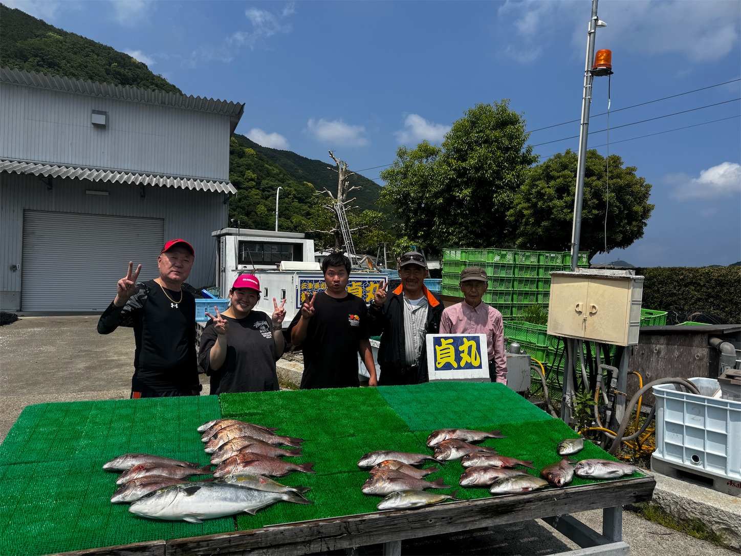 f:id:sadamarusuisan:20260516053004j:image f:id:sadamarusuisan:20260516053004j:image
