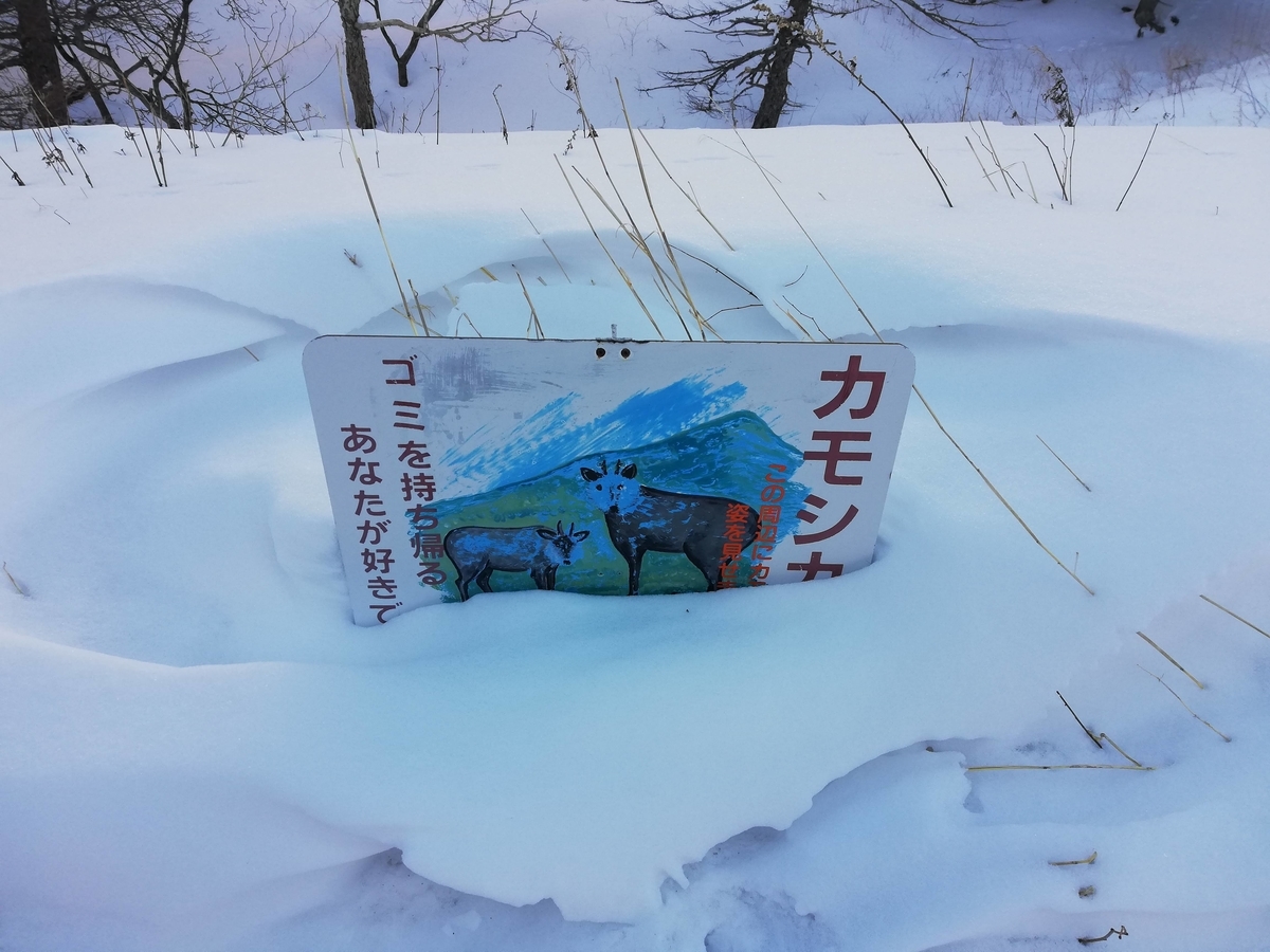 f:id:sadaoutdoor:20190420005552j:plain