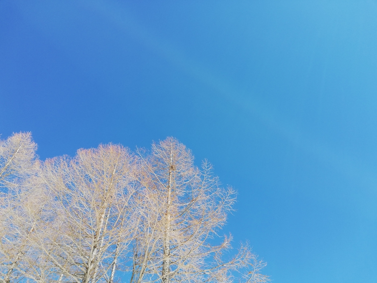 f:id:sadaoutdoor:20190420012316j:plain