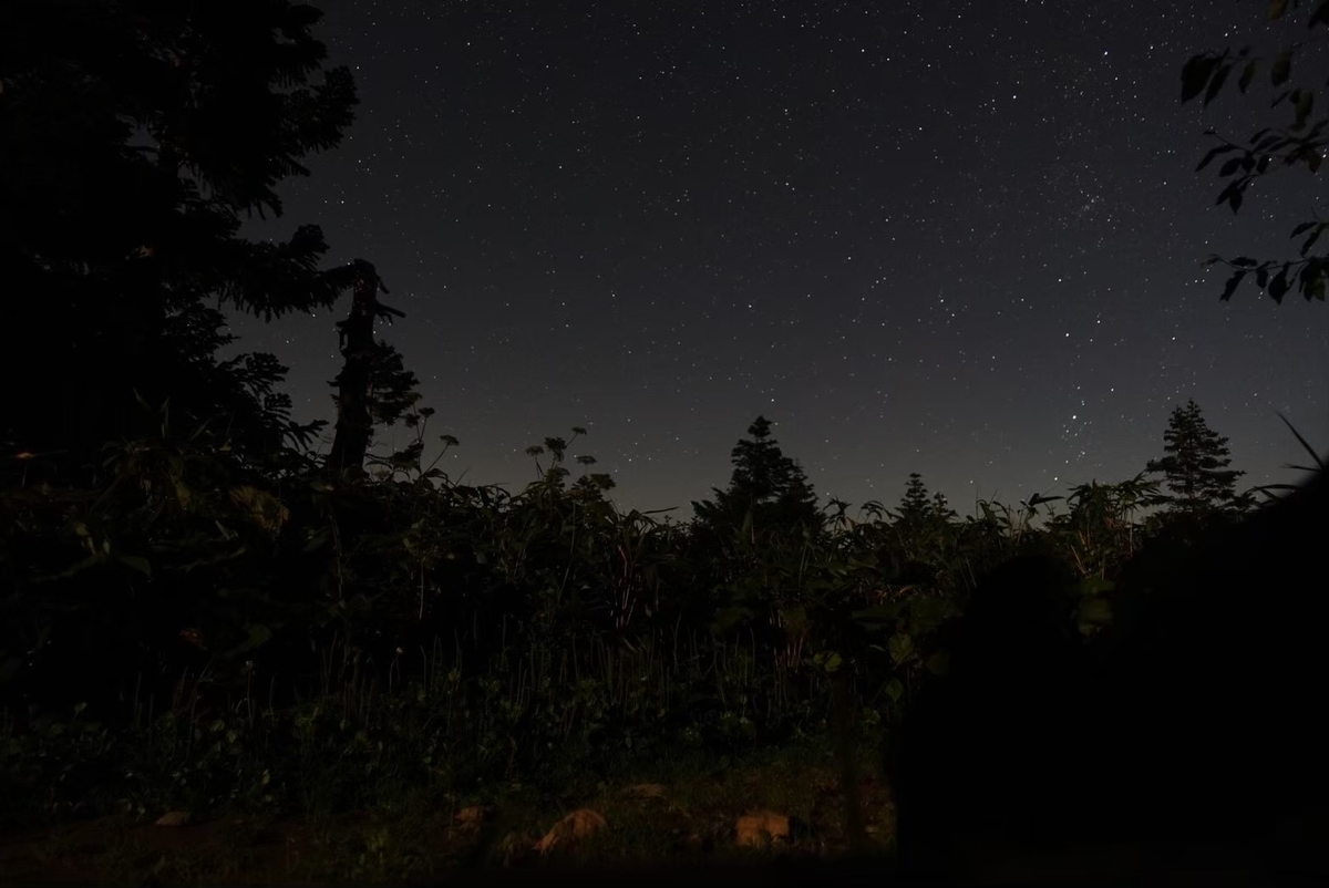 f:id:sadaoutdoor:20200413020008j:plain