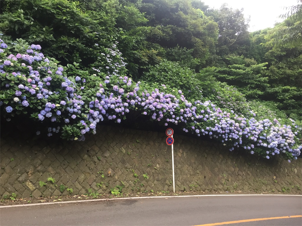 f:id:sae-n-roses:20170702215055j:image f:id:sae-n-roses:20170702215055j:image