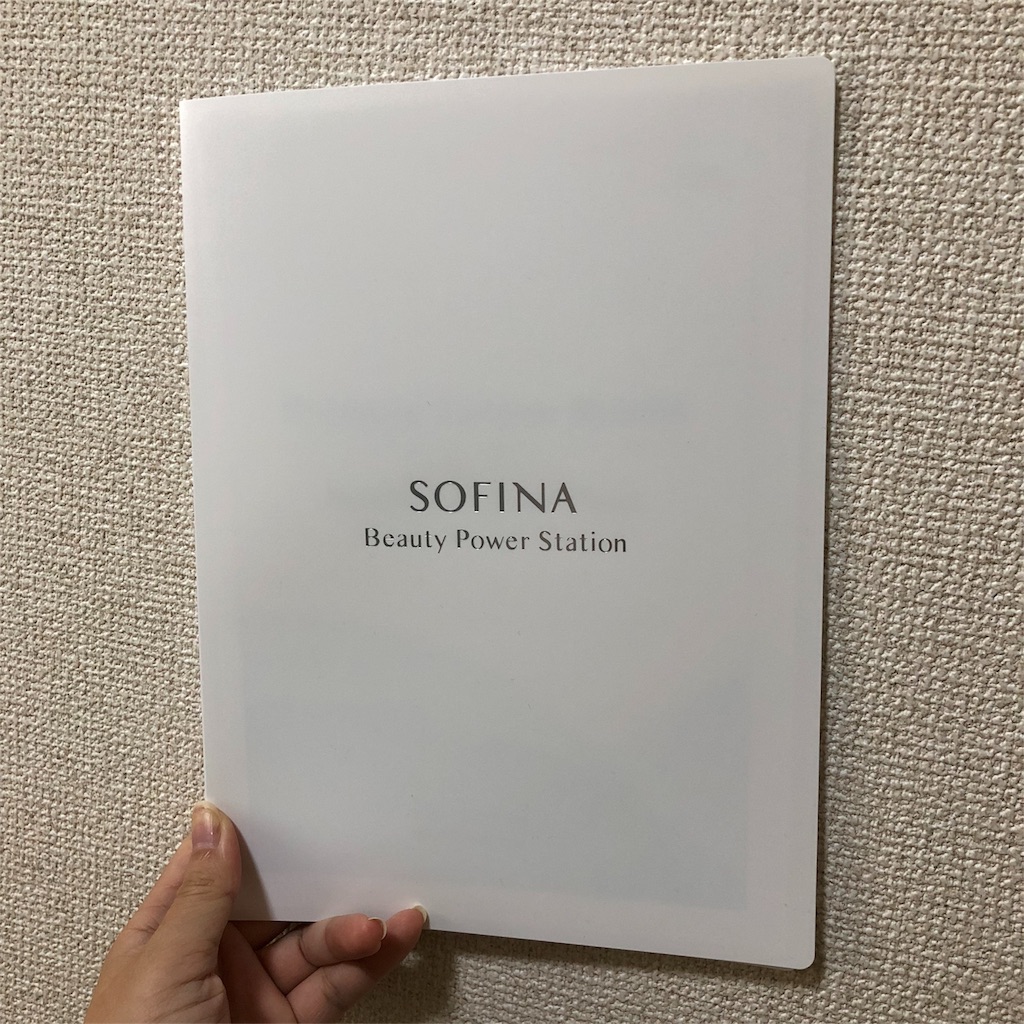 f:id:sae-n-roses:20181111134930j:plain f:id:sae-n-roses:20181111134930j:plain